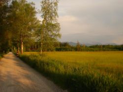 2013-06-08_Radtour_Iffeldorf-Aiderbichl (218).JPG